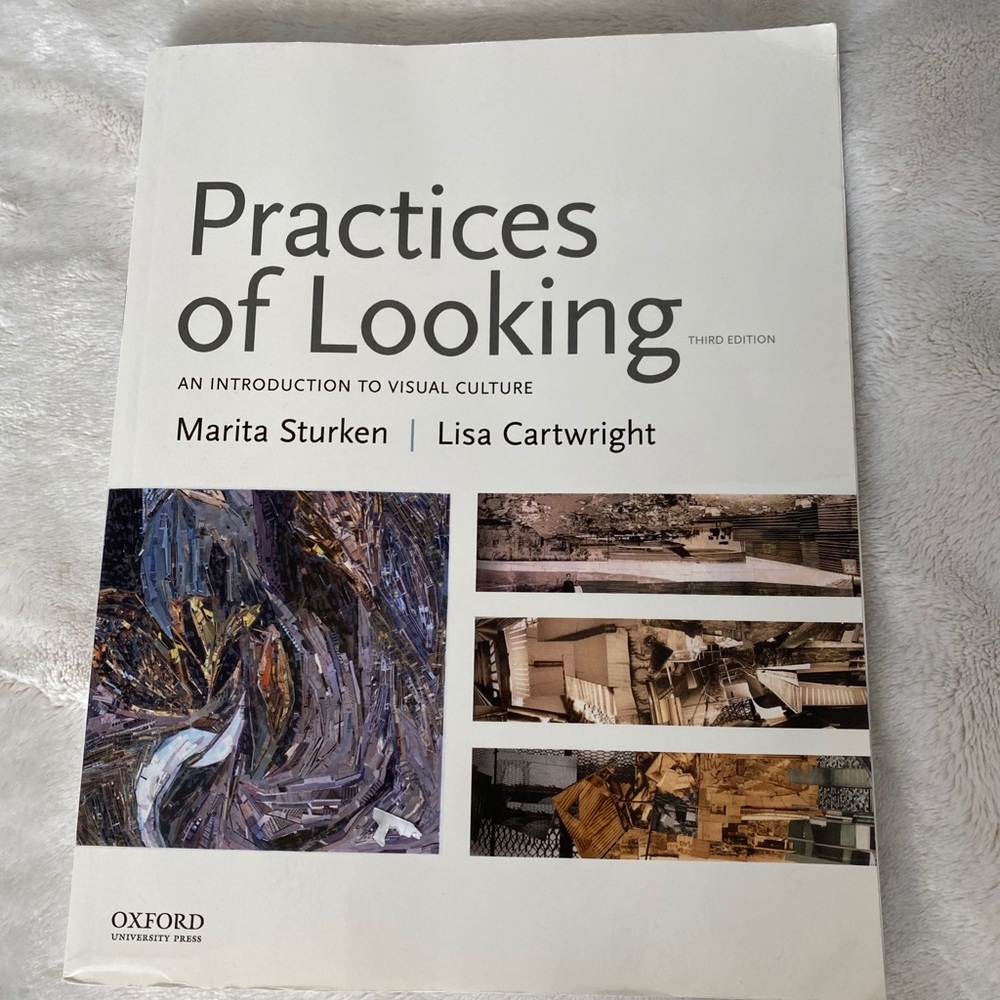 Practices of Looking COLLEGE ART BOOK-Sturken